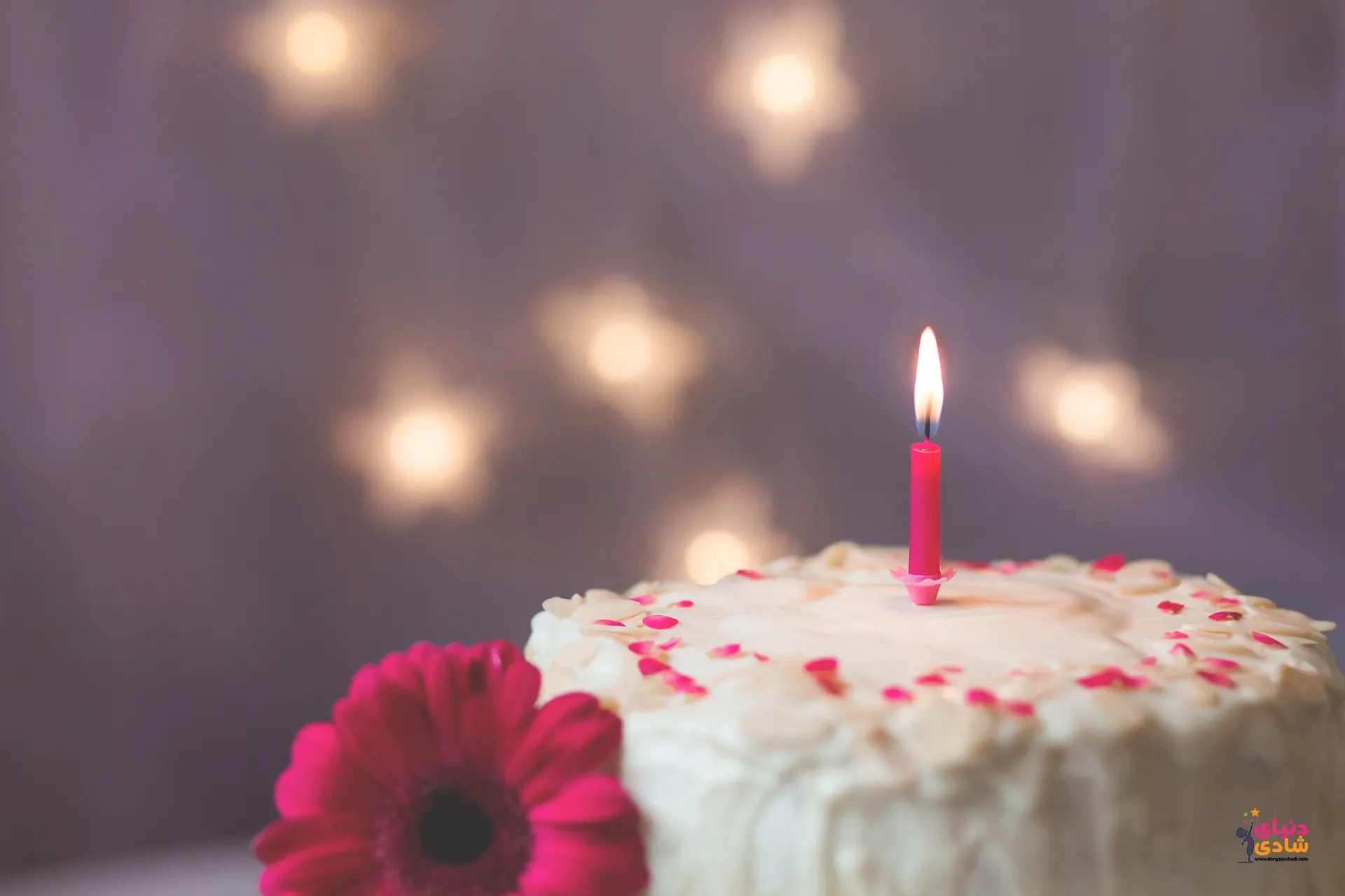 جشن تولد چیست و چرا جشن میگیریم؟